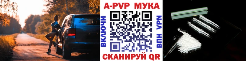 A PVP СК КРИС Людиново