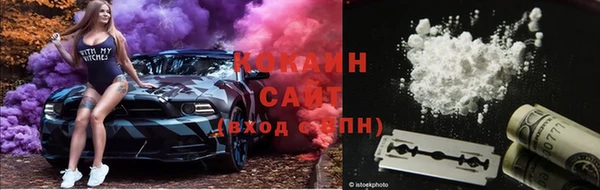 spice Бородино