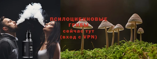 spice Бородино