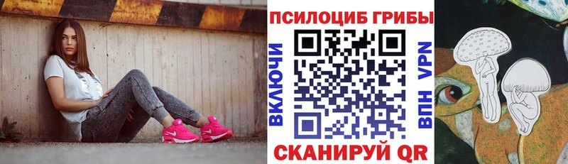 Псилоцибиновые грибы мицелий  где найти наркотики  Людиново 